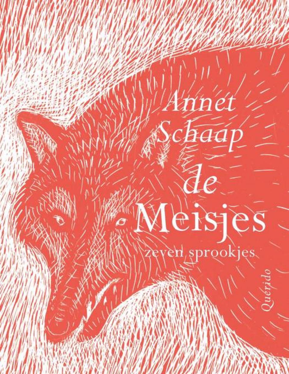 cover boek De meisjes van Annet Schaap