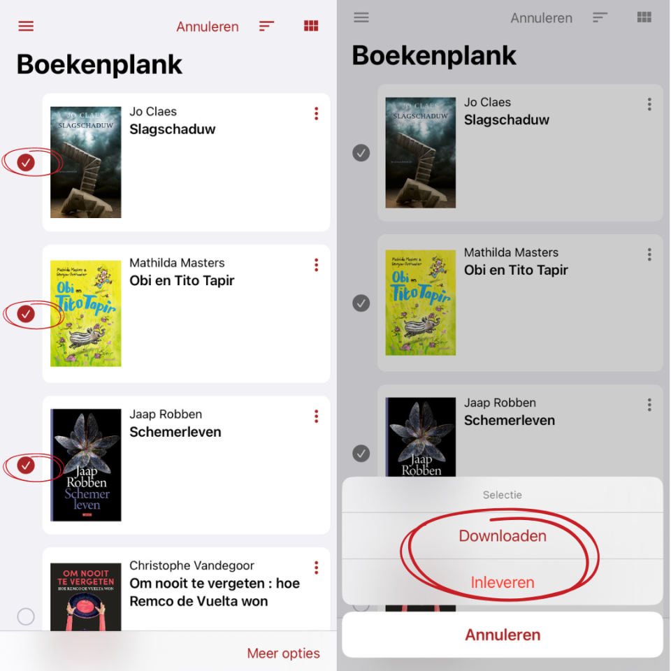 screenshots van de boekenplank in de anderslezen-app